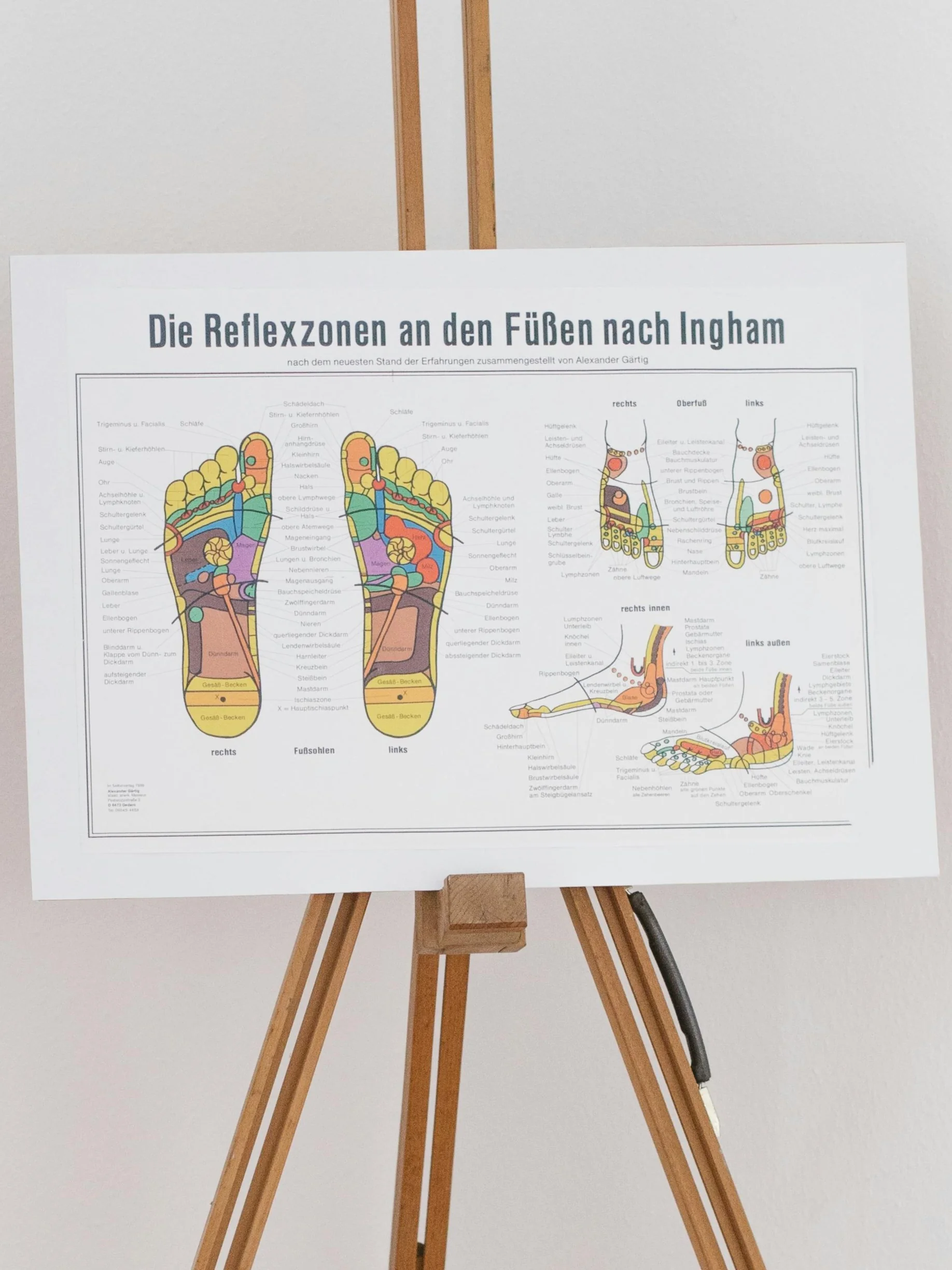 Un mapa reflexológico del pie sobre un atril de madera, con las distintas zonas reflejas señaladas