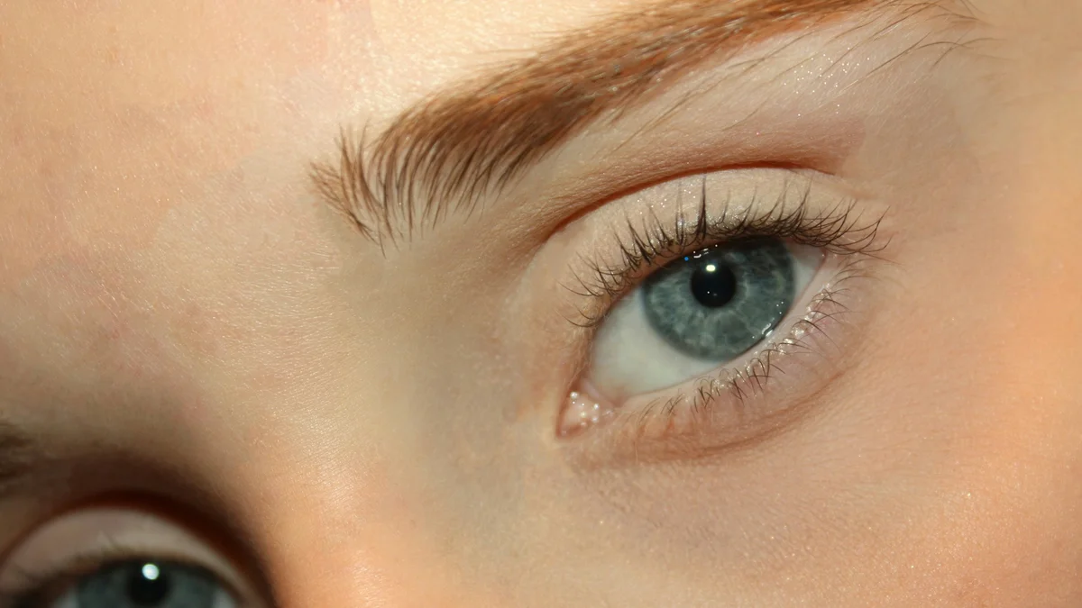 Primer plano de los ojos de una mujer con las pestañas lifteadas de aspecto natural