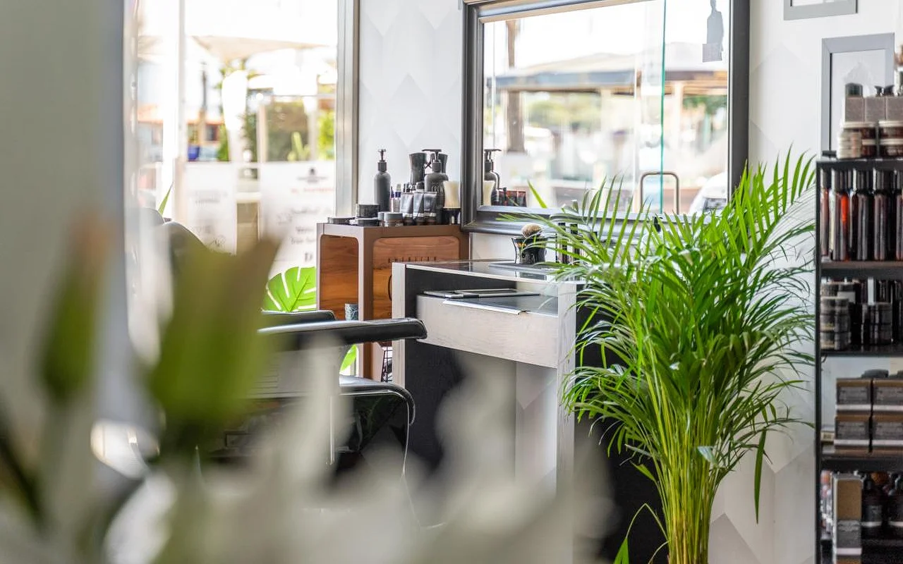El puesto de peinado de un salón entrevisto tras frondosas plantas verdes, con productos de cuidado dispuestos sobre una encimera y estanterías de madera y una intensa luz de día entrando por la ventana del fondo.
